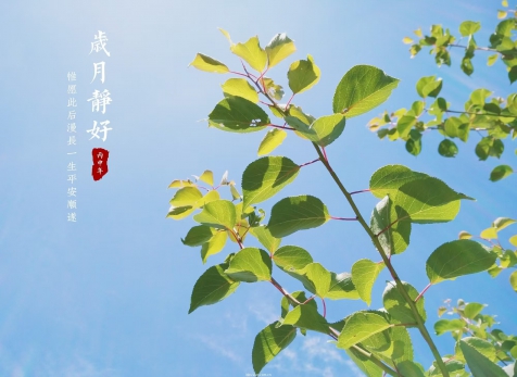 愿歲月靜好，山河無恙